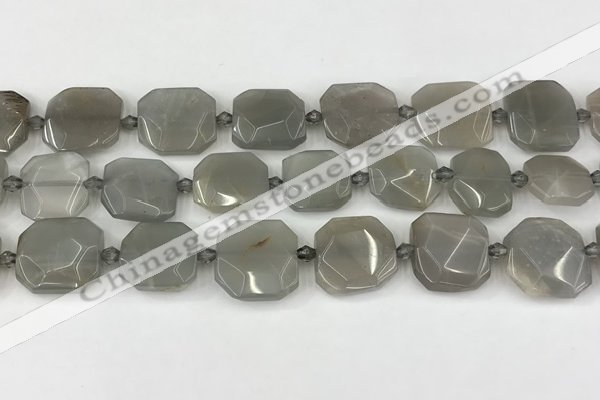 CNG8809 15.5 inches 16mm - 20mm faceted freeform moonstone beads