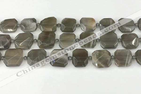 CNG8810 15.5 inches 16mm - 20mm faceted freeform moonstone beads