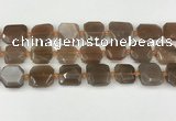 CNG8811 15.5 inches 16mm - 20mm faceted freeform moonstone beads