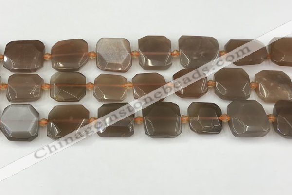 CNG8811 15.5 inches 16mm - 20mm faceted freeform moonstone beads