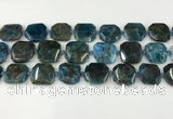 CNG8821 15.5 inches 16mm - 20mm faceted freeform apatite beads