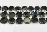 CNG8824 15.5 inches 16mm - 20mm faceted freeform labradorite beads