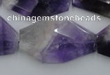 CNG893 15.5 inches 22*30mm faceted freeform dogtooth amethyst beads