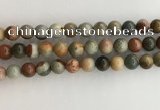 CNI372 15.5 inches 10mm round American picture jasper beads