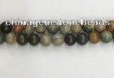 CNI374 15.5 inches 14mm round American picture jasper beads