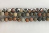 CNI378 15.5 inches 10mm round matte American picture jasper beads