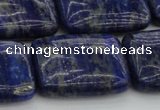 CNL1145 15.5 inches 18*25mm rectangle lapis lazuli gemstone beads