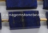 CNL1520 15.5 inches 20*30mm - 25*35mm rectangle lapis lazuli beads