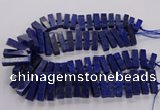 CNL1660 15.5 inches 8*25mm - 10*35mm cuboid lapis lazuli beads