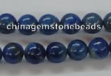 CNL213 15.5 inches 10mm round natural lapis lazuli beads wholesale