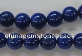 CNL217 15.5 inches 10mm round AAA grade natural lapis lazuli beads