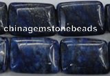 CNL976 15.5 inches 18*25mm rectangle natural lapis lazuli gemstone beads