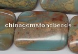 CNS152 15.5 inches 30*40mm rectangle natural serpentine jasper beads