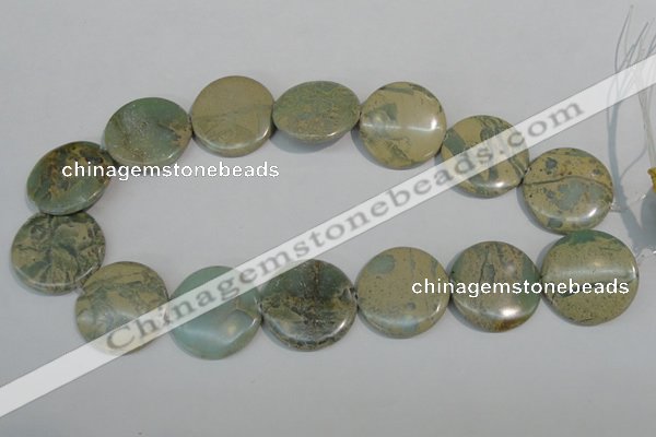 CNS235 15.5 inches 30mm flat round natural serpentine jasper beads