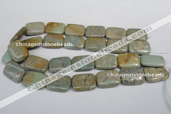 CNS257 15.5 inches 22*30mm rectangle natural serpentine jasper beads