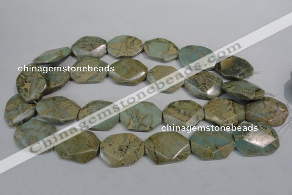 CNS263 15.5 inches 22*30mm octagonal natural serpentine jasper beads