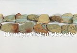 CNS359 25*35mm - 35*45mm freefrom serpentine jasper slab beads