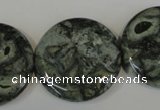 CNS425 15.5 inches 30mm flat round natural serpentine jasper beads