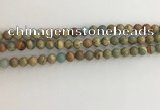 CNS701 15.5 inches 6mm round serpentine jasper beads wholesale