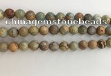 CNS703 15.5 inches 10mm round serpentine jasper beads wholesale