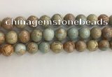 CNS704 15.5 inches 12mm round serpentine jasper beads wholesale