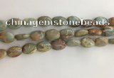 CNS724 15.5 inches 10*14mm oval serpentine jasper beads wholesale