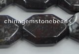 COJ07 15.5 inches 22*30mm octagonal blood jasper gemstone beads