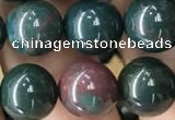 COJ333 15.5 inches 10mm round Indian bloodstone beads wholesale