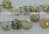 COP1482 15.5 inches 10*10mm briolette African opal gemstone beads