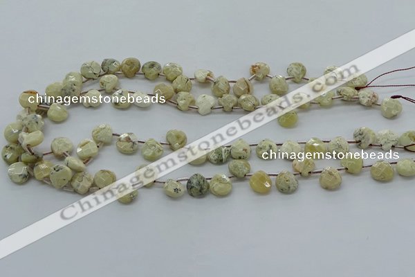 COP1482 15.5 inches 10*10mm briolette African opal gemstone beads