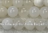 COP1588 15.5 inches 6mm round white opal gemstone beads