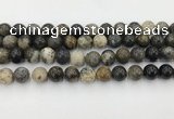 COP1603 15.5 inches 10mm round moss opal beads wholesale