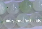 COP1624 15.5 inches 10mm round green opal gemstone beads