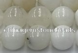 COP1731 15.5 inches 8mm round white opal beads wholesale