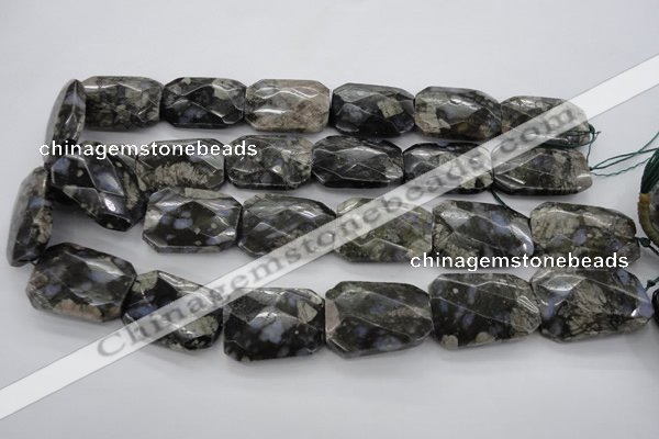 COP493 22*30mm faceted & twisted rectangle natural grey opal beads