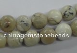 COP803 15.5 inches 10mm round natural African opal beads