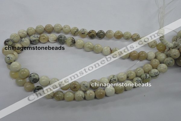 COP803 15.5 inches 10mm round natural African opal beads