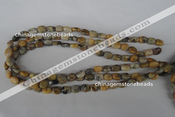 COV26 15.5 inches 8*10mm oval crazy lace agate beads wholesale