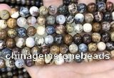 CPB1031 15.5 inches 8mm round pietersite beads wholesale