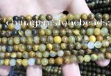 CPB1050 15.5 inches 4mm round golden pietersite beads wholesale