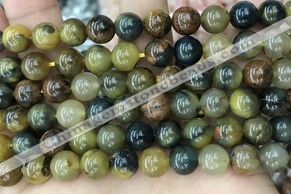 CPB1064 15.5 inches 12mm round natural pietersite beads wholesale