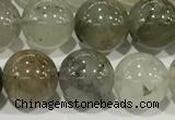 CPC681 15.5 inches 8mm round chorite green phantom beads