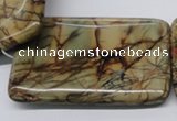 CPJ36 15.5 inches 40*60mm rectangle picasso jasper beads wholesale