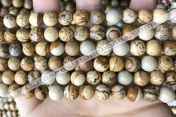 CPJ660 15.5 inches 8mm round picture jasper beads wholesale