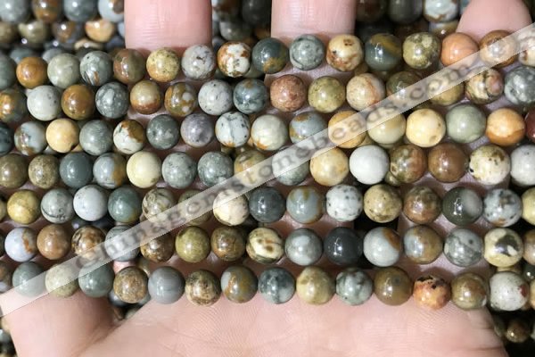 CPJ707 15.5 inches 6mm round rocky butte picture jasper beads