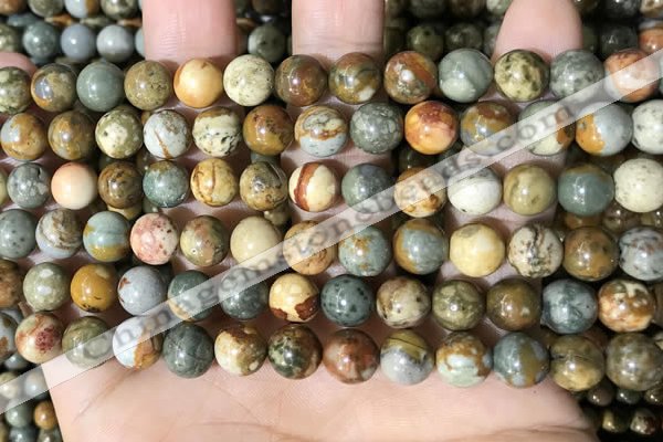 CPJ708 15.5 inches 8mm round rocky butte picture jasper beads