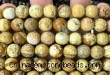 CPJ775 15 inches 12mm faceted round picture jasper beads wholesale