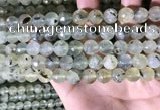 CPR359 15.5 inches 10mm faceted round prehnite beads wholesale