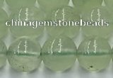 CPR372 15.5 inches 10mm round prehnite gemstone beads