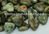 CPS31 15.5 inches 12*12mm triangle green peacock stone beads